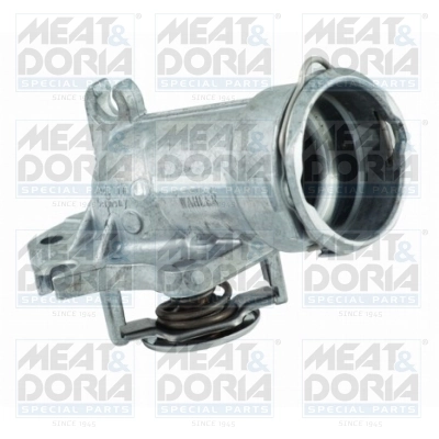 Thermostat, coolant